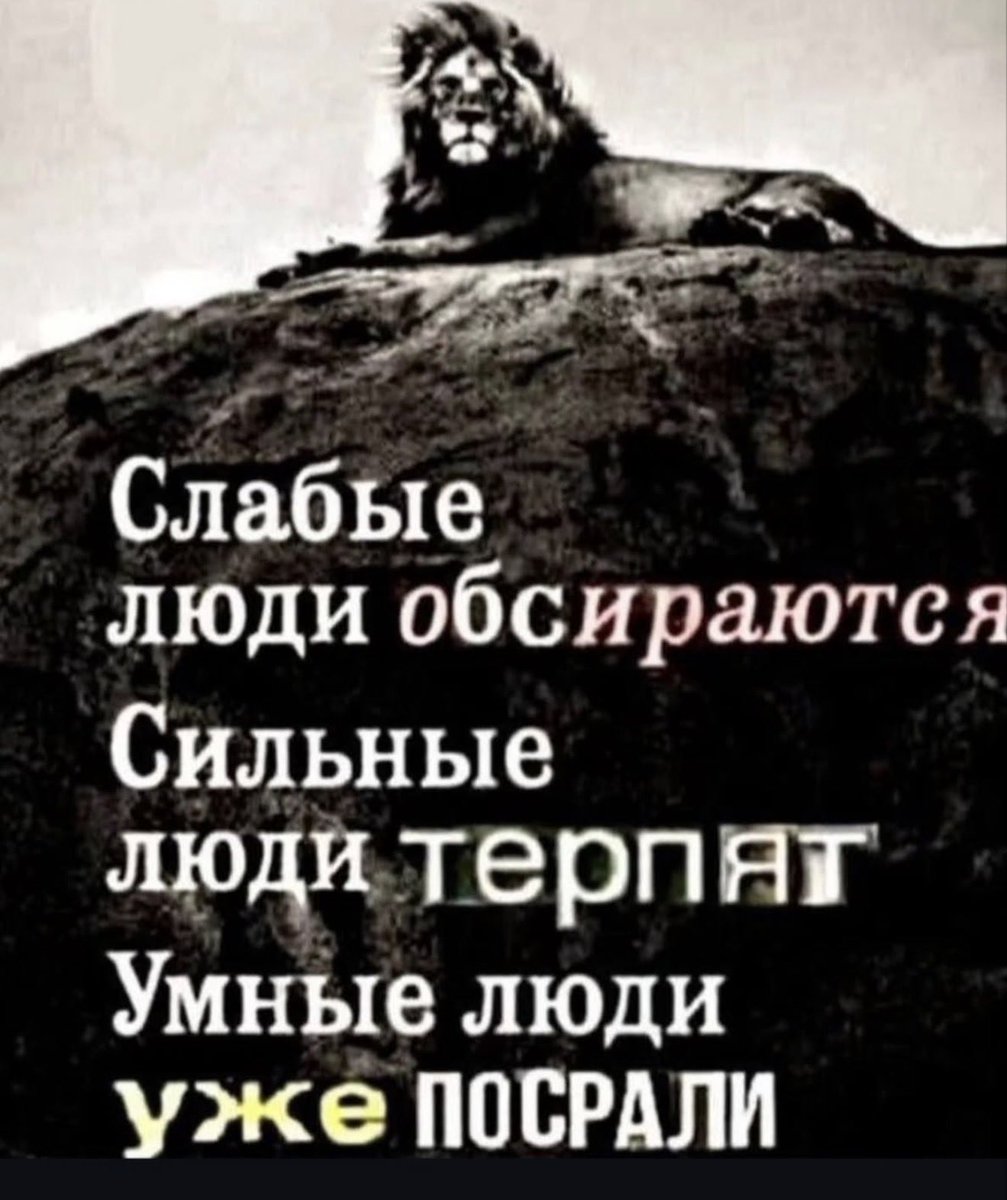 gemi_softy's tweet photo. https://t.co/Q2AXf3MXuj