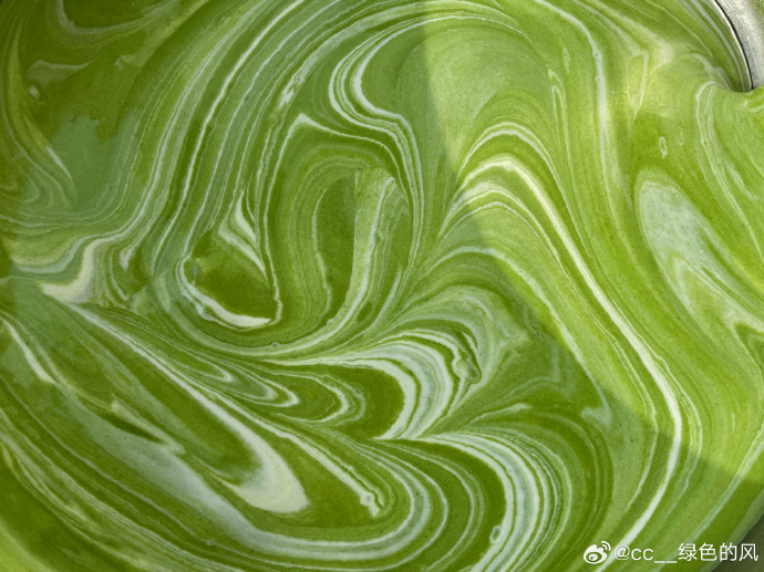 Sinanaral6's tweet photo. Just grabbed the most addictive matcha rice crackers from the new neighborhood snack shop  Sharing the crunch and green tea goodness with anyone needing a tiny happy moment today. https://t.co/3CUxeAR15n