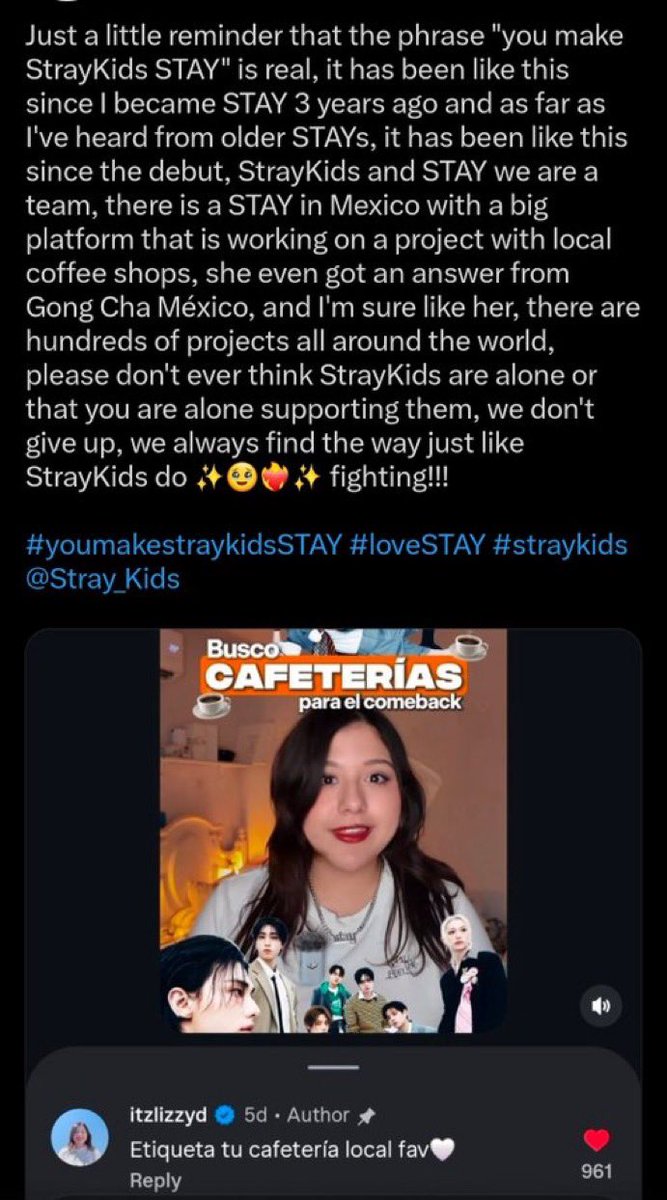 villedeseoul's tweet photo. This is actually a project organized by stays to promote their flop comeback not by gong cha. It’s getting scary how everyone is so obsessed with felix and his brands😭 https://t.co/T54z8DsCCw