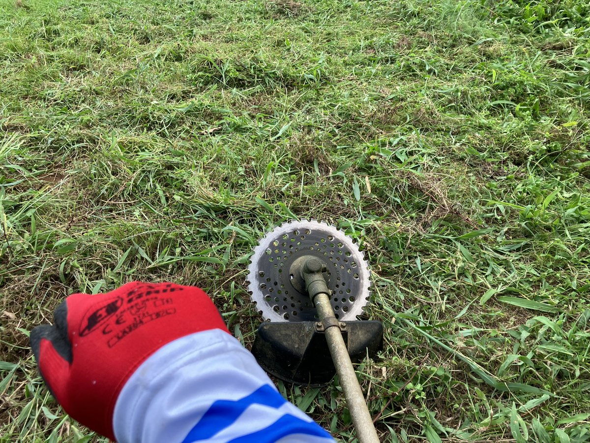 catch_sailfish's tweet photo. この前届いたBlueBlueのフーディ
草刈りで初使用。クソ暑い中、中々良き

#トロピークロング
#BlueBlue https://t.co/XKHaftWQ3o