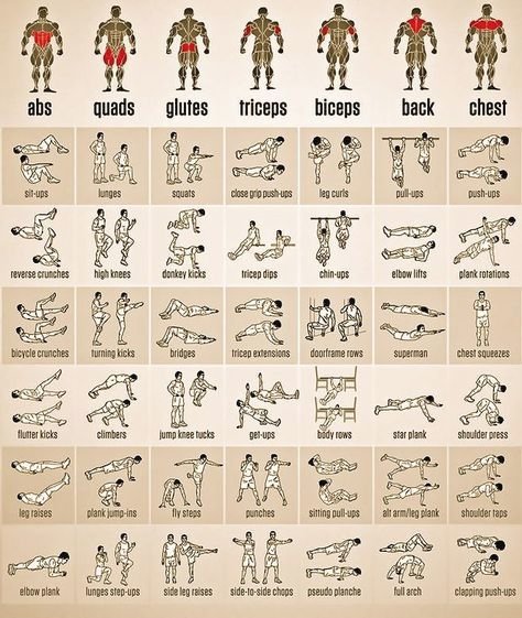 fitdadhq_'s tweet photo. Full body workout https://t.co/VPnfI5Edry