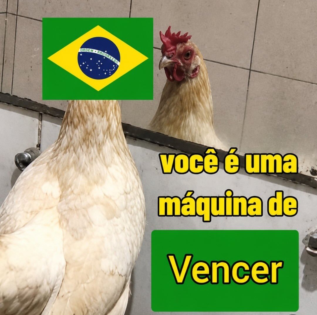 PortoRhyan's tweet photo. Desce Egonu, quando a Bergmann mandar, você desce!!!!!!
#VoleiNoSporTV https://t.co/FkHwk0ddd3
