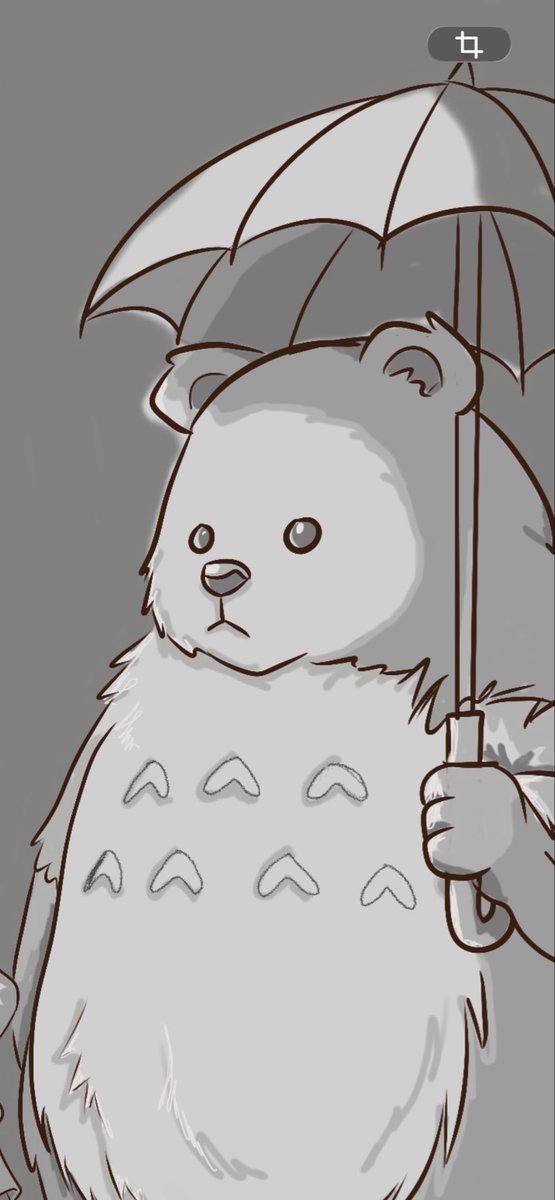 Komugi tweet media