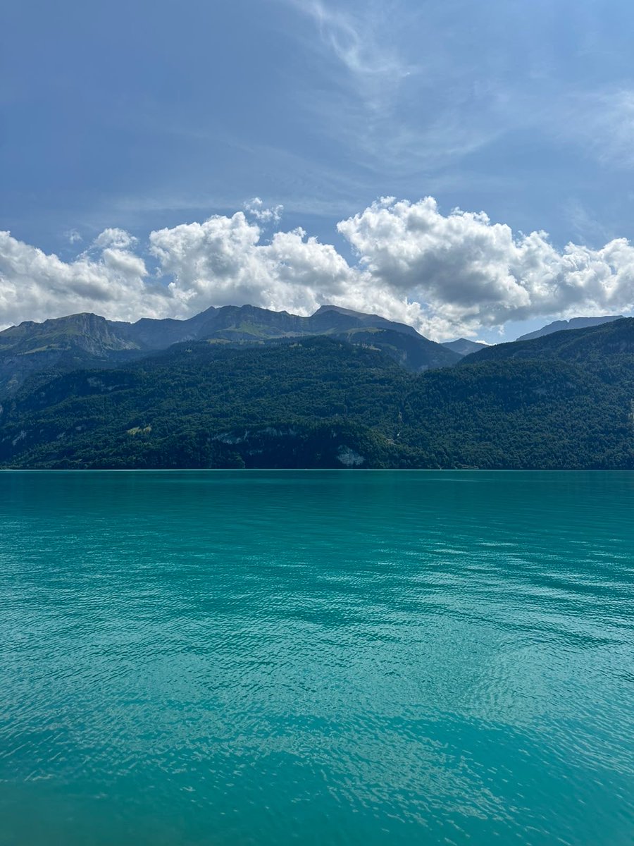 mroyalAm1's tweet photo. Amoureuse de la suisse 🇨🇭 https://t.co/KemZ4CLVLq