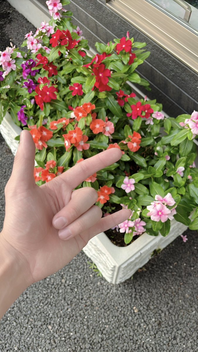 tok4_17's tweet photo. https://t.co/YukH277JEI