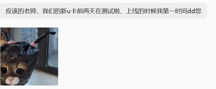 逐风03 tweet media