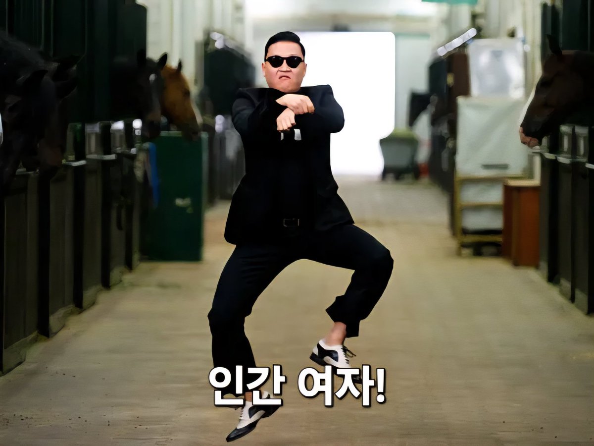 게이밍고라니(7서코 토) tweet media