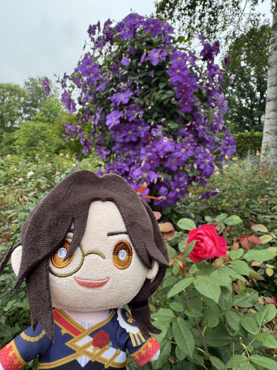 saradanann1's tweet photo. お庭に可愛いハートあったので4階席ぬいさんとお写真撮ってみた📸
和装のぬいはすすきみたいな背景似合ってた！今日は17℃寒かった…
2~3日前30℃だったのに…
なんてこったい… https://t.co/QSlK8zaH18