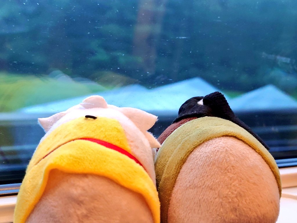 rokuka's tweet photo. さらば宮城（ちいかわらんど仙台でお迎えしたくりまんじゅう先輩と共に帰路につく） https://t.co/rwsfe5VqQk
