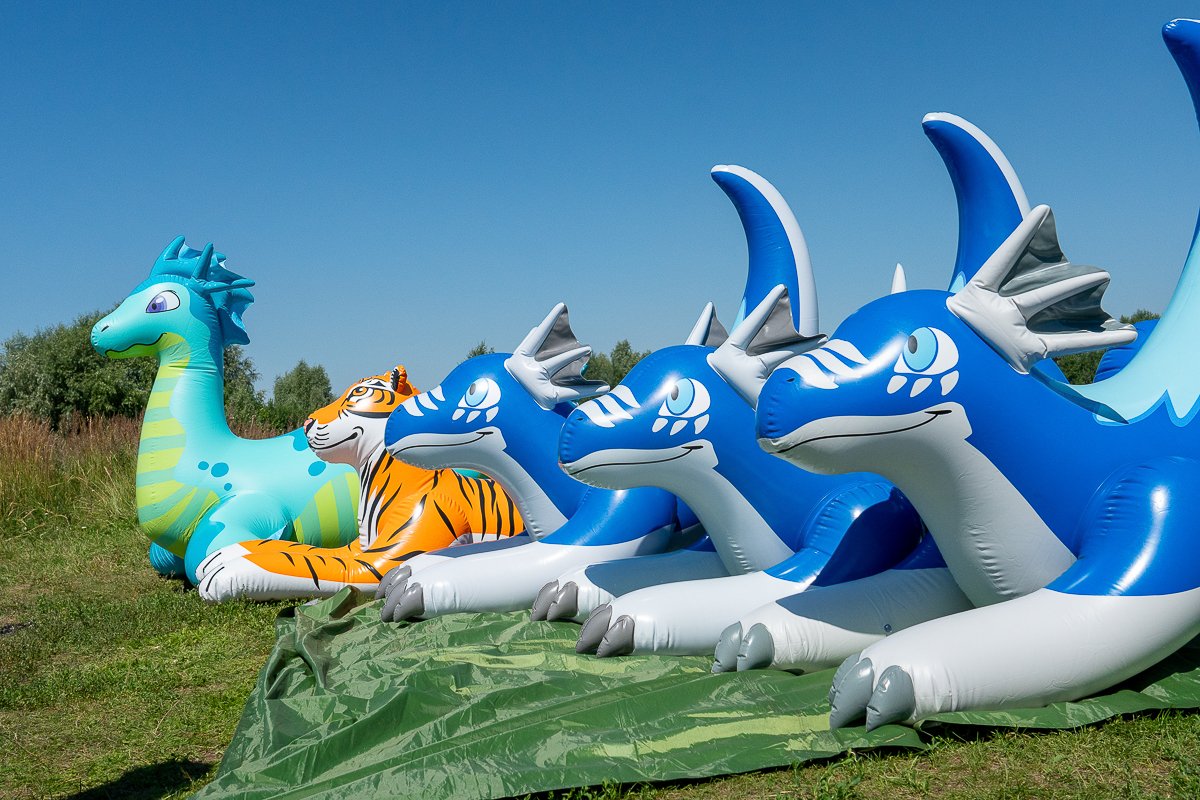 AvikFurry's tweet photo. One! Two! Three! Four ... Dragon and Tiger! 
#InflatesEveryday https://t.co/KPxwhLLprB