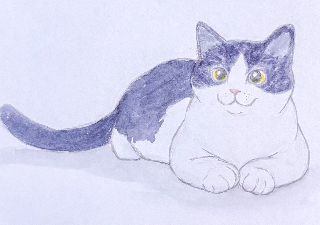 sacchan5963's tweet photo. ハチワレにゃんこ😼

#猫 #水彩画 #イラスト https://t.co/ULg4InYv8X