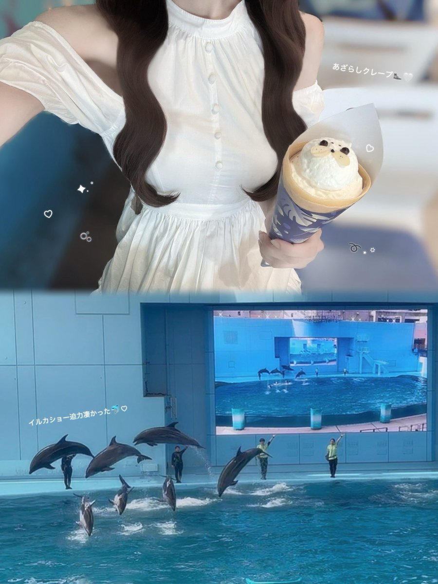 ku0x0mo's tweet photo. 横浜八景島シーパラダイスᐢ ܸ>⩊<︎︎ ܸᐢ🐬🫧
大水槽や水中トンネルが圧巻で綺麗すぎたし、海cafeのあざらしクレープも美味しかった🦭🤍 https://t.co/l9Ad5aRgXk