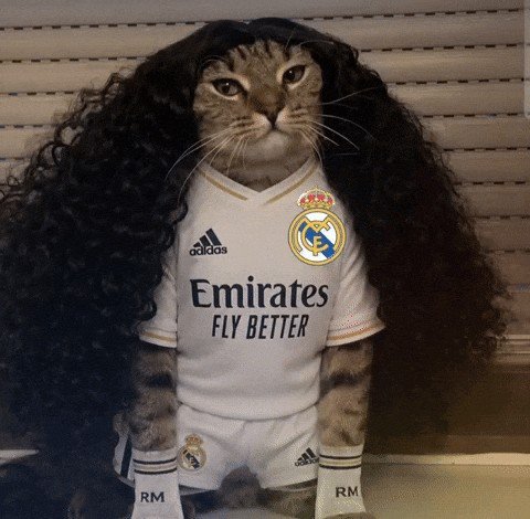 Farmacist69's tweet photo. @cucurella3 @realmadrid https://t.co/G37PNs54oe