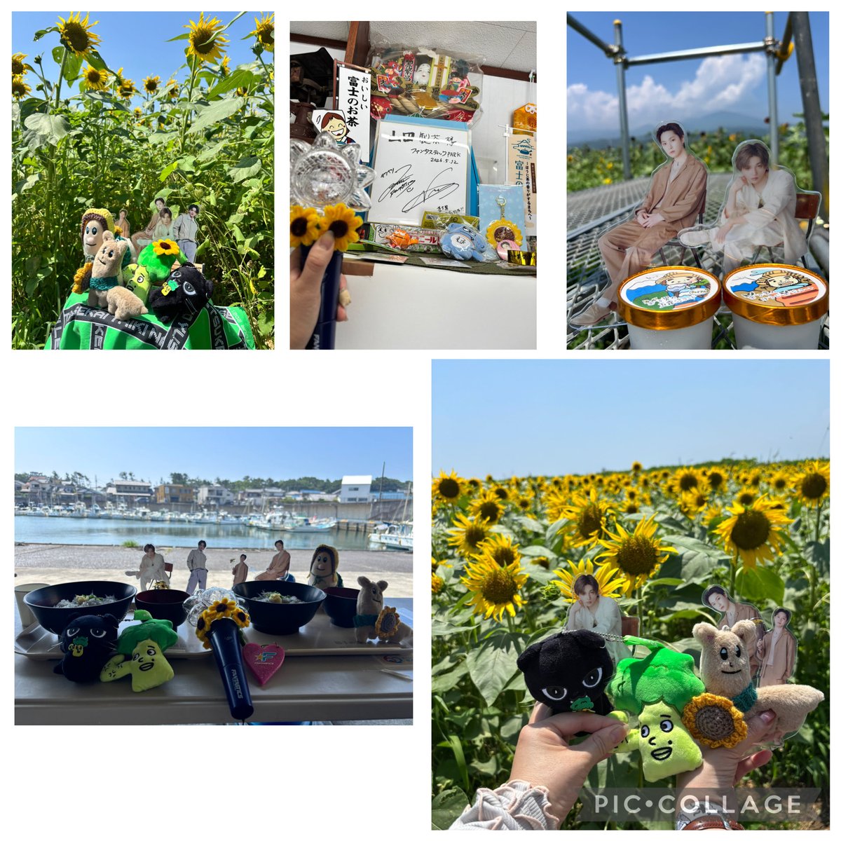 e_xmam's tweet photo. 有明でみんなが盛り上がっている中　私はデート🥰
静岡でのLIVEの余韻に浸りながら
シラス丼→茶ら男さんちのお茶屋さん→ひまわり畑🌻🌻🌻
実は　全部職場の近くだった…
シラス丼も頂いたお茶もアイスも美味しくて　ひまわりは綺麗だった🩷
デート楽しかったね！
＃FANTASTICS https://t.co/D272sCenXW