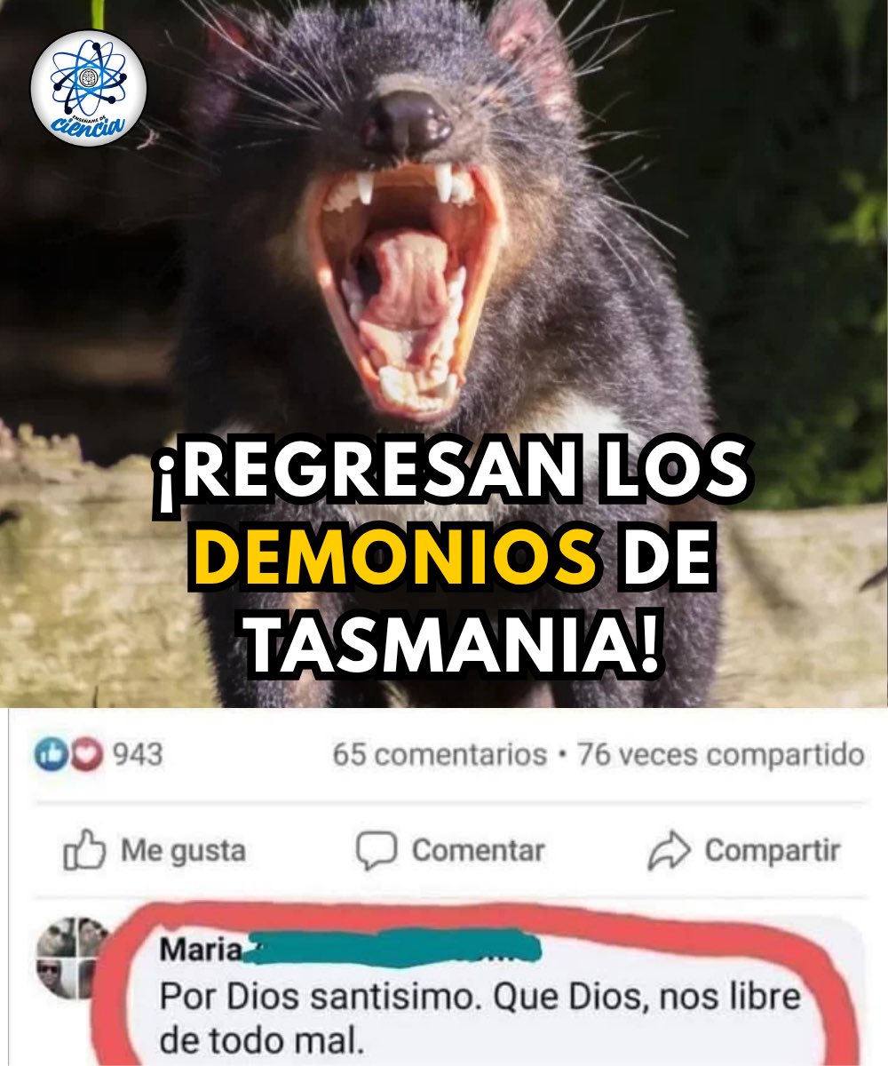 EnsedeCiencia's tweet photo. 🥸👀 https://t.co/dCaDu7er6g