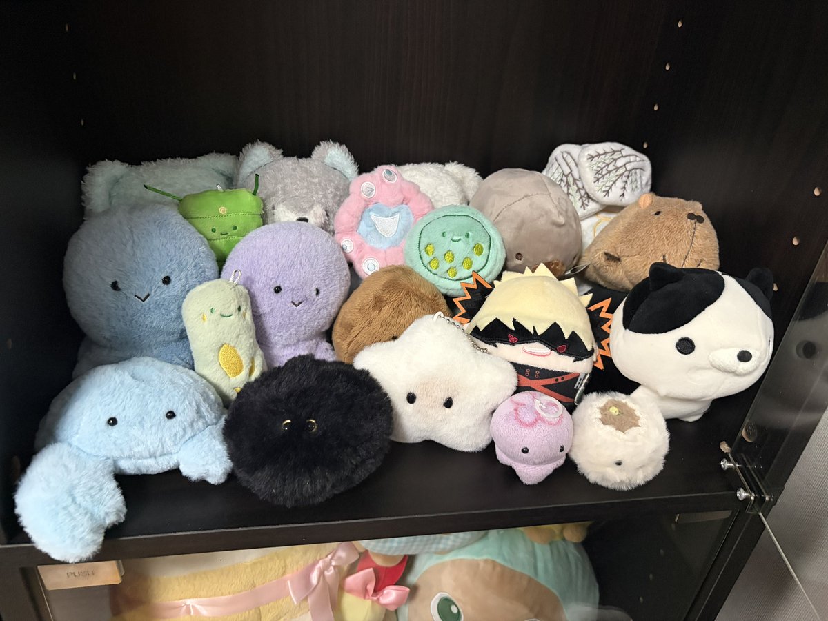 mochtuki's tweet photo. わたしの愛しのぬいぐるみたち かわいいね https://t.co/Wky2tv97ec