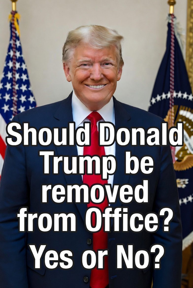 America Daily tweet media