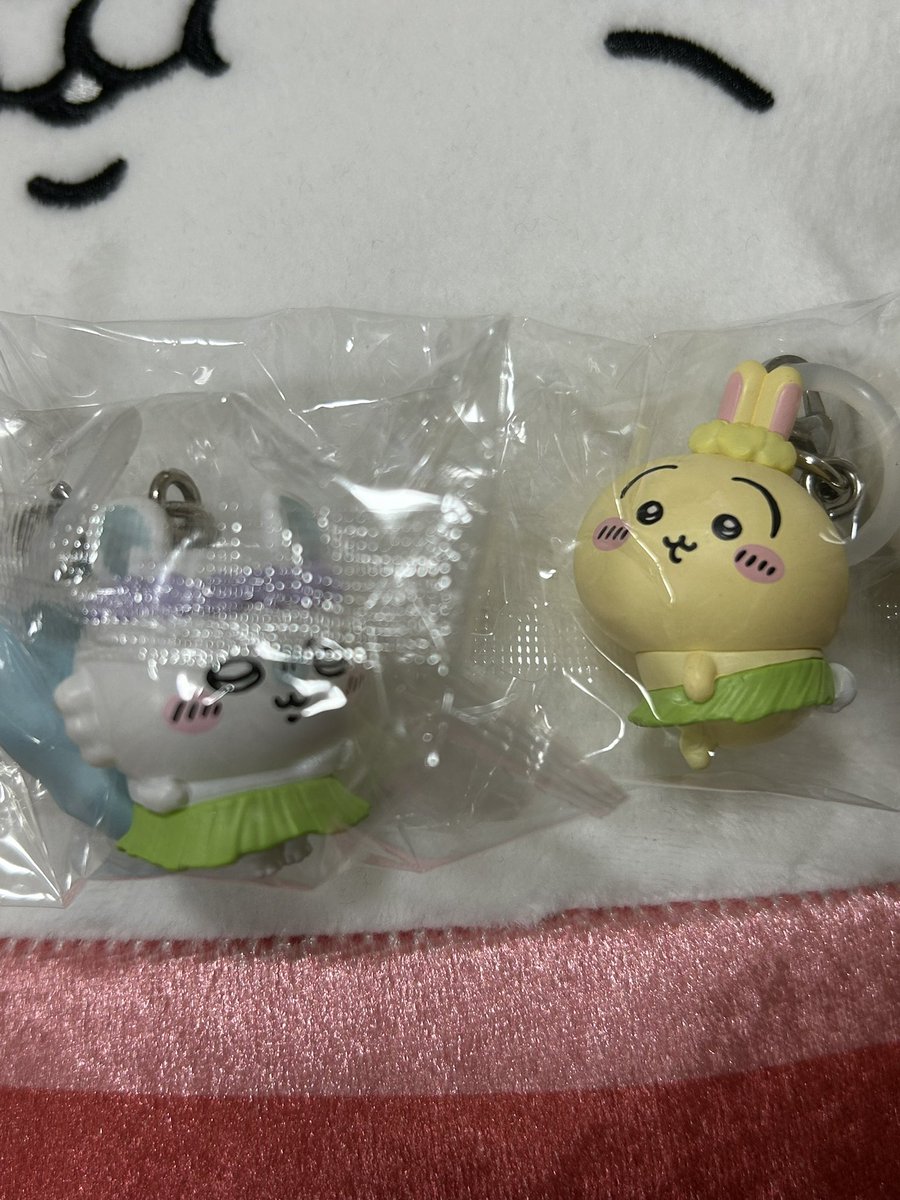 7sweetsR's tweet photo. ちいかわの映画見に行ってきた！！
途中何度か泣きそうになったけど、おもしろ歌パートや島二郎に癒された😂
特典は古本屋ならず！
初めてのアカシアのロールキャベツに美味しくて感動した✌️ https://t.co/Ywn0SmMHmG