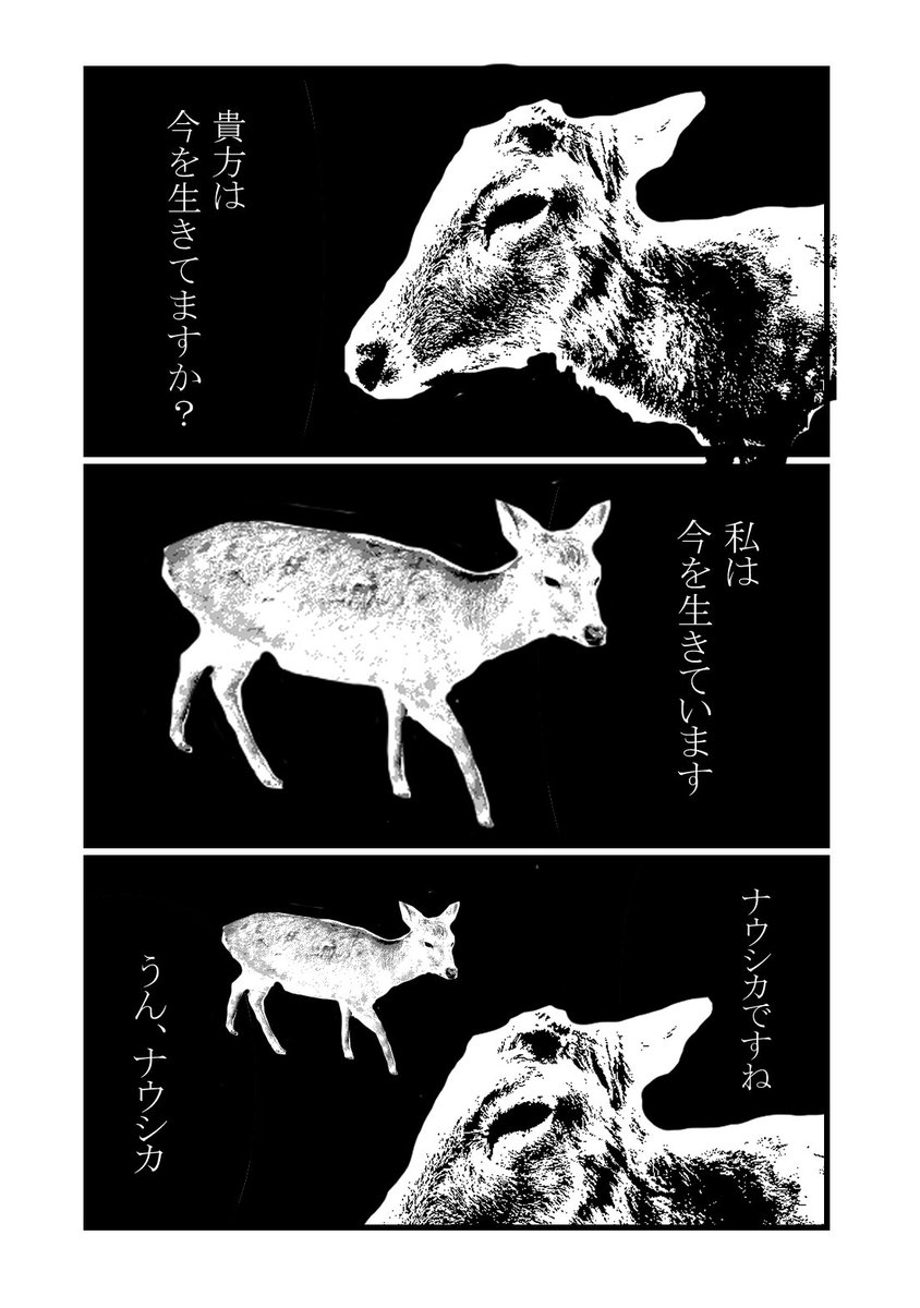 MI_DO_Rr's tweet photo. https://t.co/M21d0FaptM