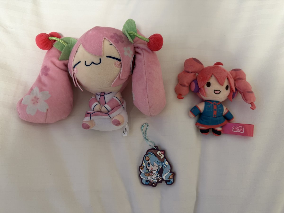 sezan856586's tweet photo. せっかく静岡に来たので駿河屋に行ってきました。色々あって見てるだけで面白かったです。ミクのぬいぐるみなどを買いました！ https://t.co/7qAFdkgGFY