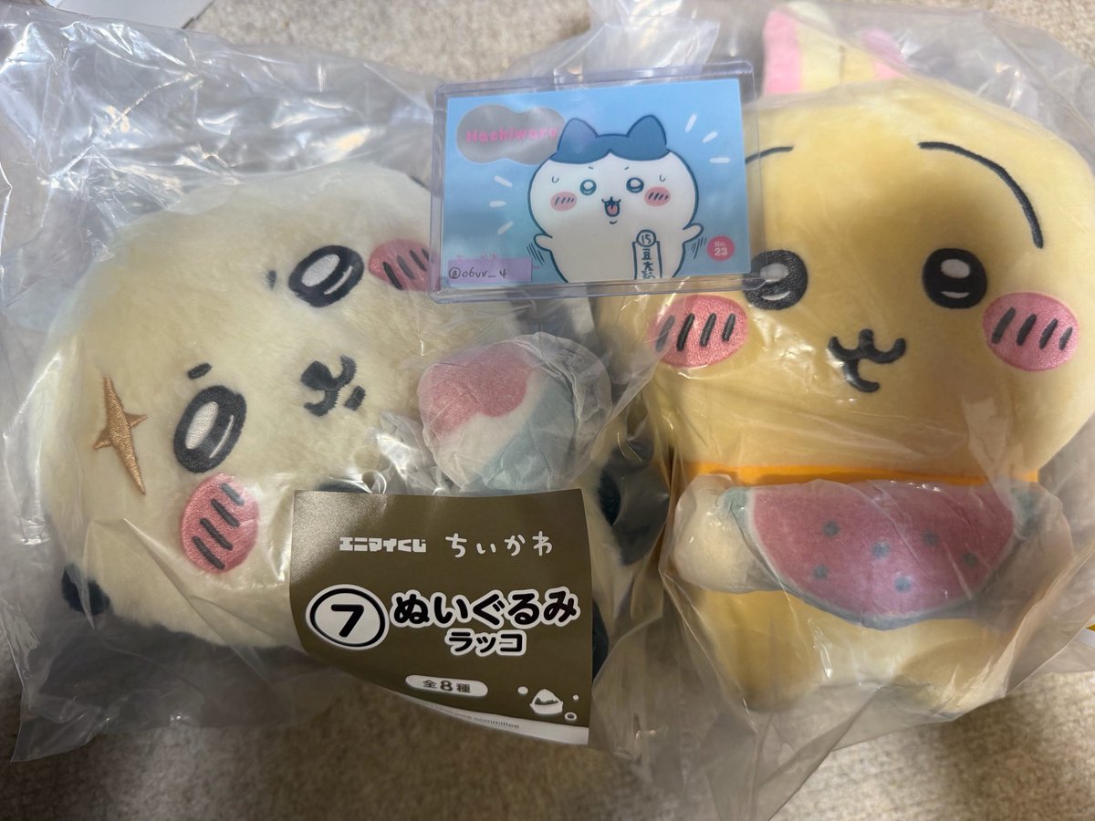 o6vv_4's tweet photo. ちいかわ エニマイくじ 交換

激求
・ぬい ちいかわ

緩募
・コップ ハチワレ/ラッコ 
くりまんじゅう/シーサー
・風鈴 ハチワレ

譲
・ぬい うさぎ らっこ
・コップ モモンガ/古本屋 ×２

郵送での交換希望です
検索からもお気軽にお声掛けください🙇🏻‍♀️ https://t.co/TlBcE8Kwky