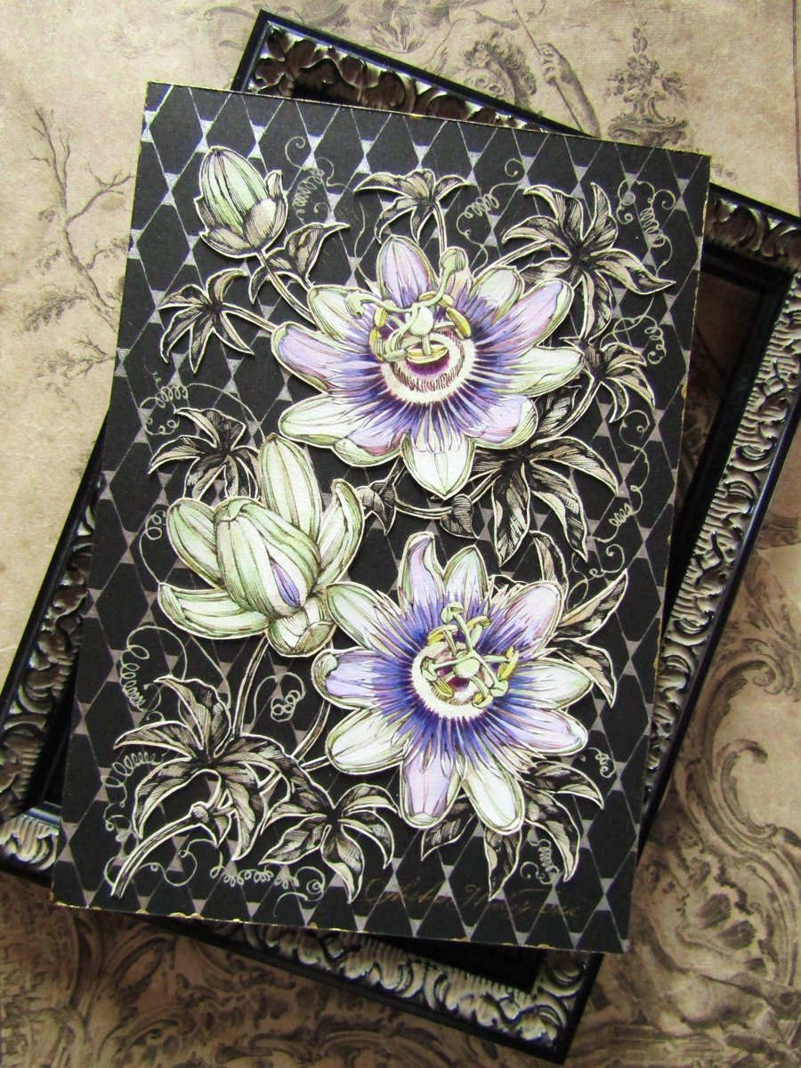 IkukoHatoyama's tweet photo. ◆明日7月26日（日）22:00より、芳香のある時計草[Passiflora×Belottii]を題材に描いたミクストメディア作品3点を販売いたします。只今プレビュー公開中、7月最後の日曜日の鳩舎でお待ちいたしております🕊️
https://t.co/5let8MkfFp https://t.co/xafTZIlzB4