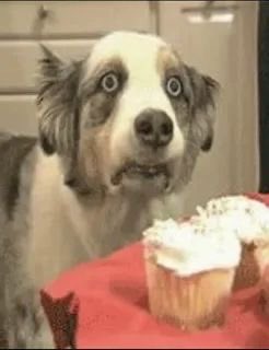 gloomydere's tweet photo. trying not to relapse https://t.co/Vo1g3h0gbN
