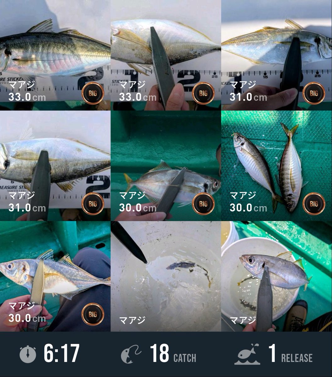 Pain_poke49's tweet photo. 本日のアジサビキ釣果です⚓️

 #FishRanker #釣りなう https://t.co/UuYW1iQFks https://t.co/BL0ykTBy0A