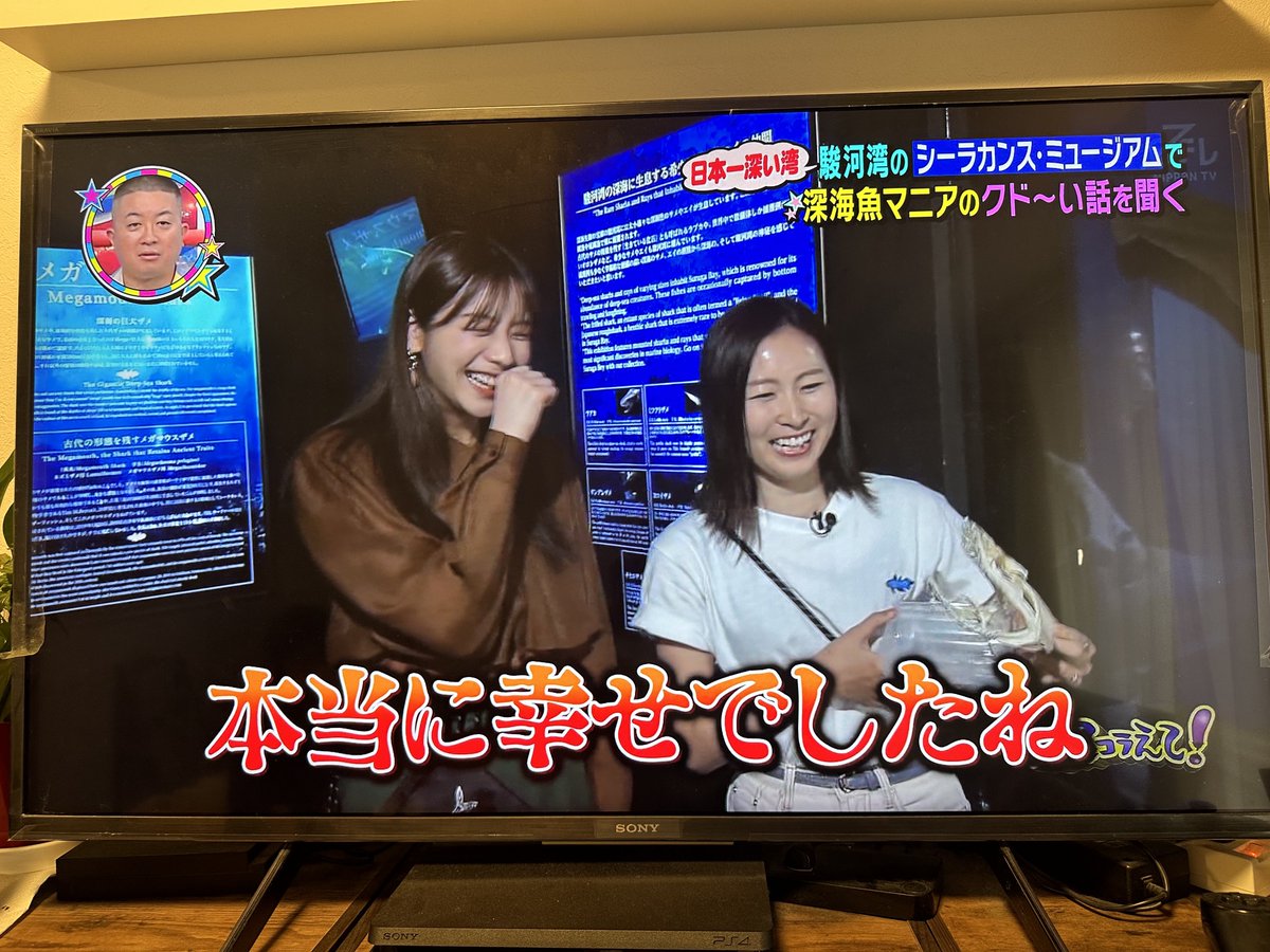 MLavca's tweet photo. #笑ってコラえて！
30周年おめでとうございます🎉㊗️✨
笑コラに出演させていただいたのはなんともう3年前😳！！とても楽しいロケを素敵に編集してくださって、最高の思い出です！これからも末長く番組が続きますように！＠warakora_ntv https://t.co/iAvivJX2mV