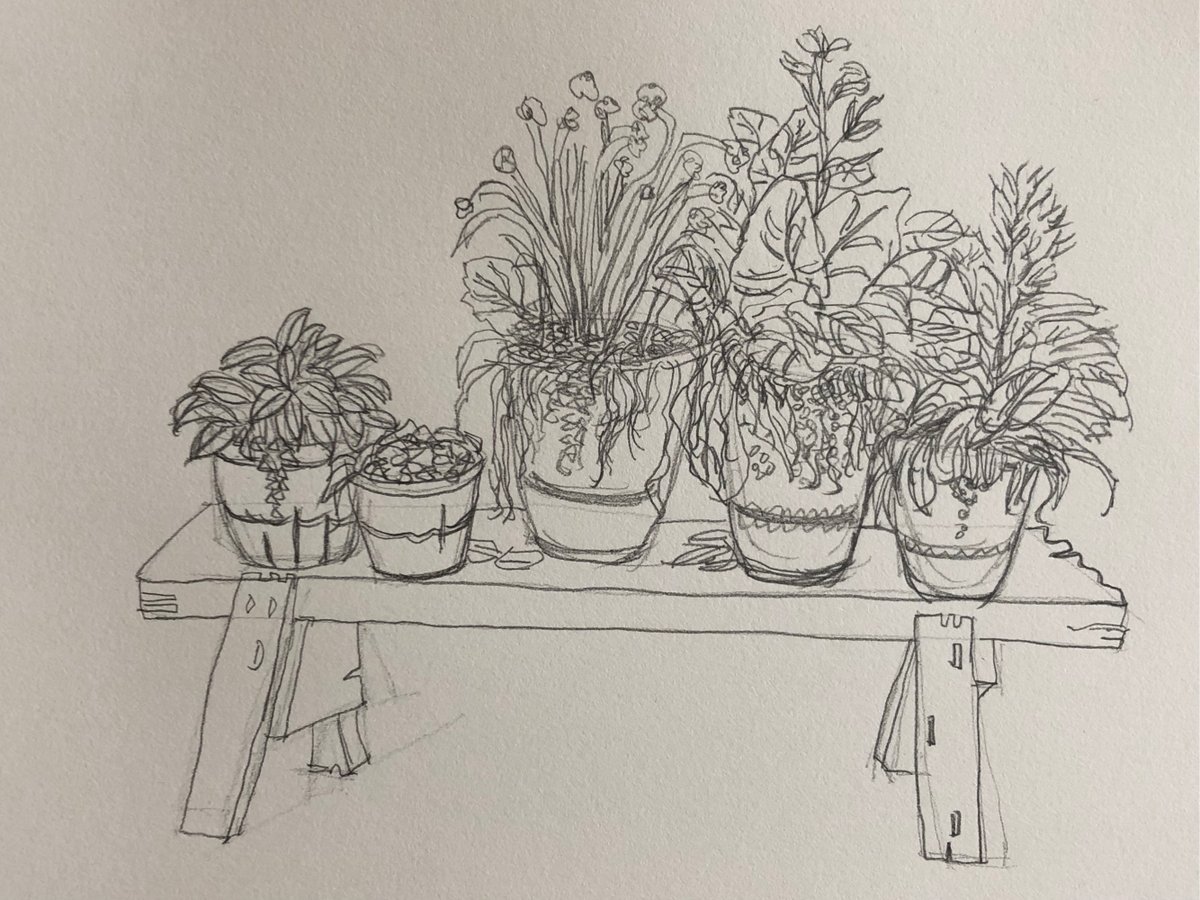 FJayaHart's tweet photo. Growing a new hobby Start small! Try 10 mins of sketching, or a 5-line poem today. Small steps spark big joy https://t.co/J5YQ54hTrp