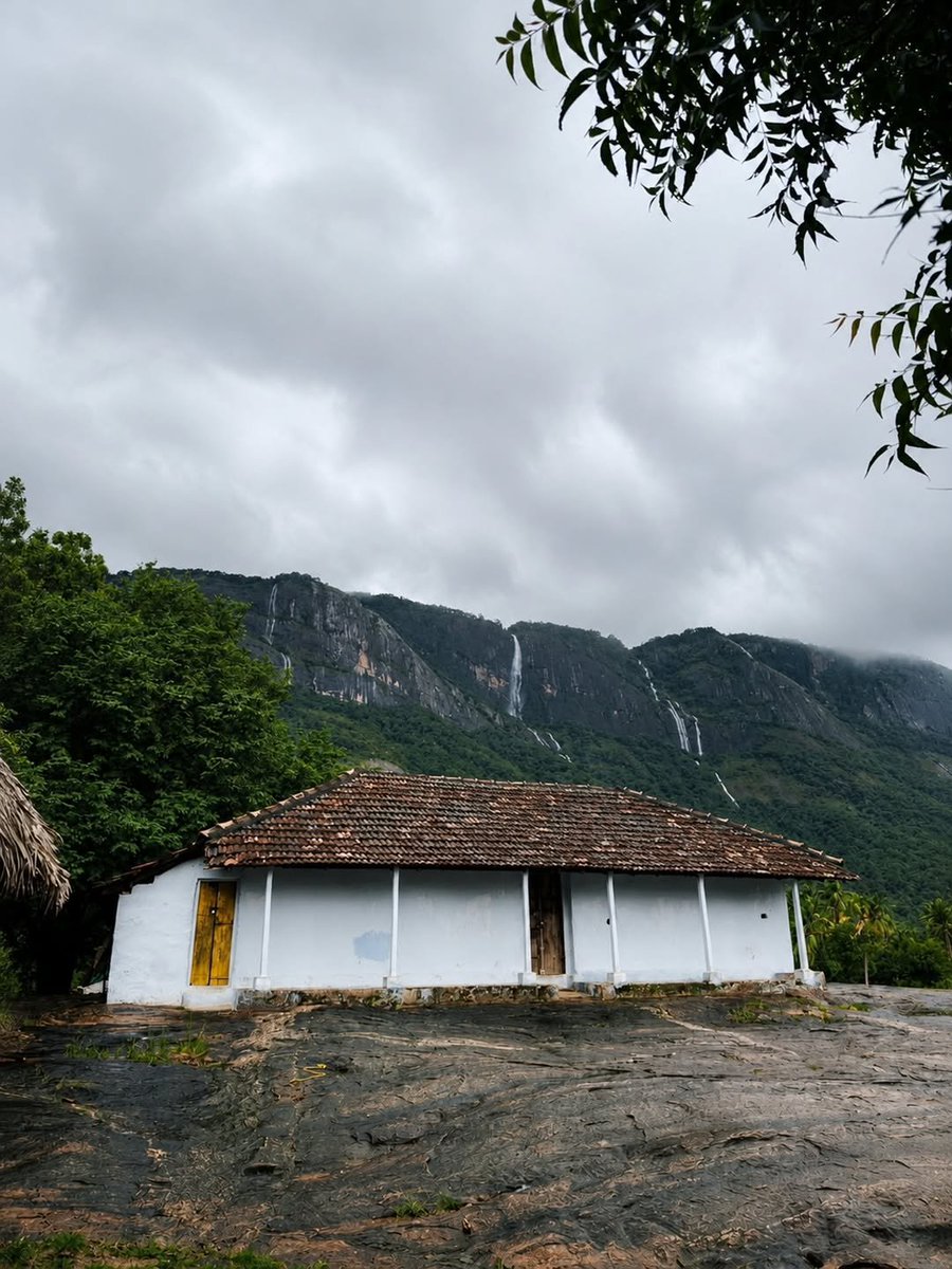 AestheticViewsX's tweet photo. A beautiful village of Kerala ☁️🍂 https://t.co/IjDyRKwfG7