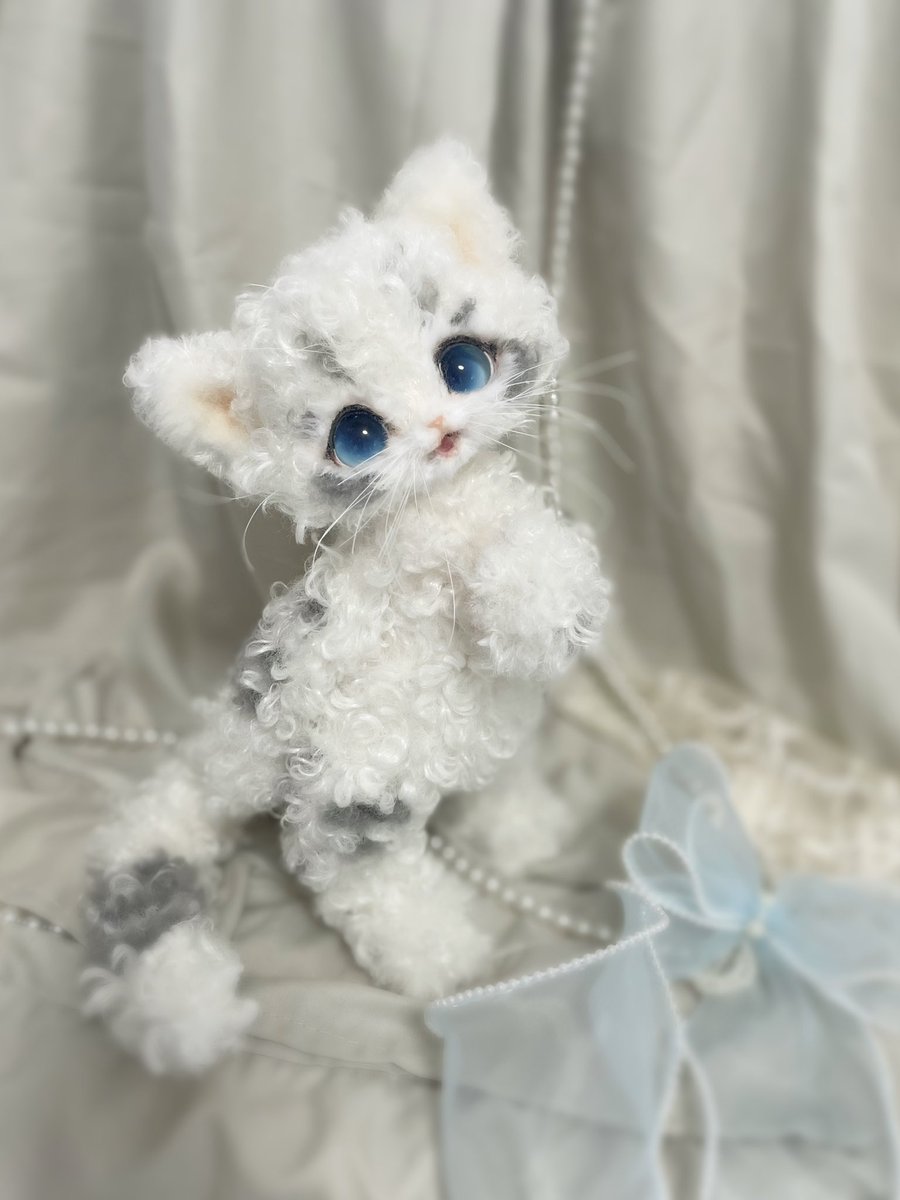 LArtDoll's tweet photo. ホワイトの巻き毛に水色のリボンがよく似合う子です🩵
クラシカルで可憐な雰囲気🫧
飼い主様募集中です🐾✨
#LArtDoll #アートドール #猫 #ハンドメイド #ぬいぐるみ #cat #猫 #ドール https://t.co/EghKBsimWb