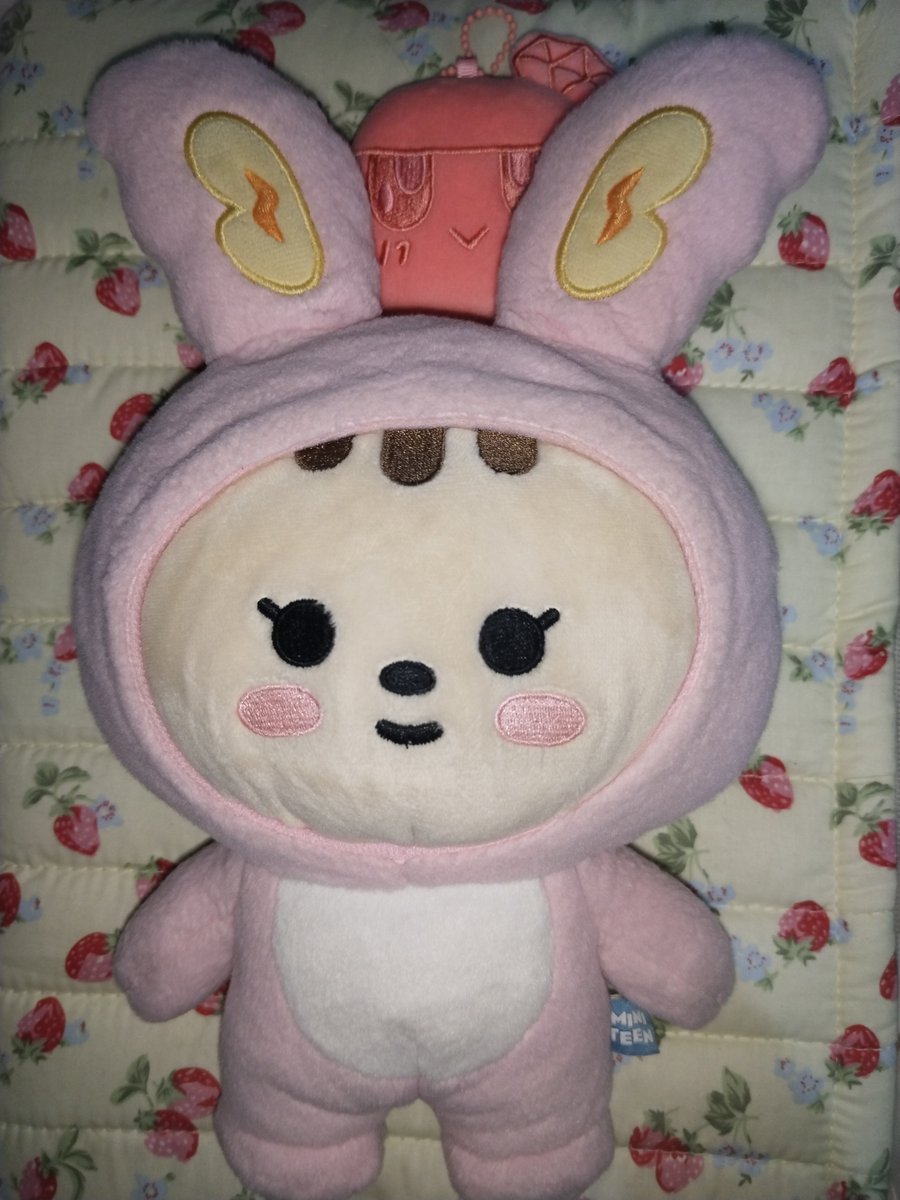 liaaaa_yahh's tweet photo. wts lfb ph seventeen miniteen plush toy 

- bought in the previous pop up for 2.5k, selling for 2k
- if with bulacan keyring (2.6k)
- x sensi, used for display only 
- still have the og packaging 

note: prio taking with bulacan keyring https://t.co/575mQ3edfS