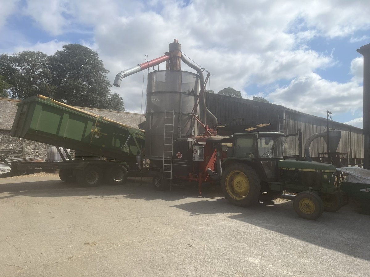 Longwool's tweet photo. It’s Cornwall. It’s wheat. Drying in progress 🤦‍♂️ #situationnormal #Harvest26 https://t.co/pu2crS92e1