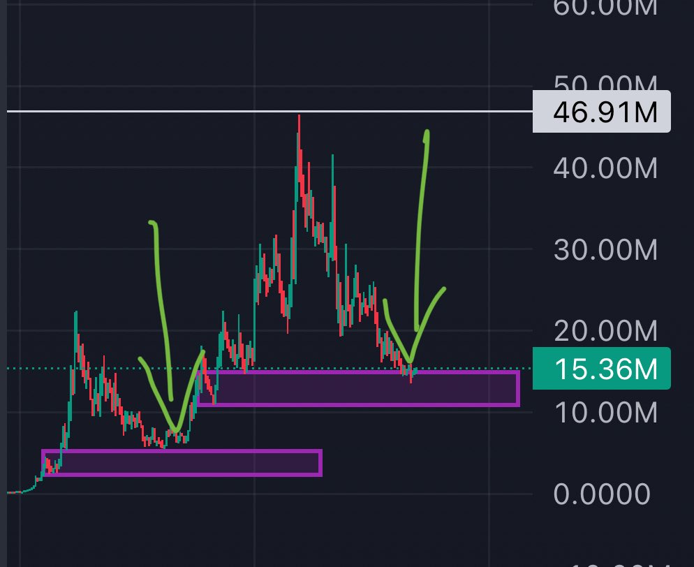 RachidsWorld's tweet photo. thoughts on $Jimothy at 15mill:

i truly think if there is to be an animal coin that runs hard there is ZERO competition and $Jimothy is the animal of the cycle.

first thing’s first, mindshare and reach keeps going up daily. but price has gone down, UNDERVALUED.

this is the EXACT SAME set up when it dipped from 22.5mill to 5.5mill (72%) before sending to 47m (8.5x from the bottom)

nobody wanted to buy, the whole timeline was bearish saying how the trenches are cooked. 

same thing is happening again.

when $Jimothy breaks ATH (it will, this is the biggest animal meme we’ve seen take over so quick and already be a permanent addition to T1 games etc representing just how culturally impactful this is)

finally people’s ptsd brains will be fixed and we will have more and more runners again. 

lots of ppl sold off anticipating the ‘punch top’ but jimothy is way bigger than punch ever was already. in a week. that says a lot for the future.

either way, 15mill is a fucking steal and will be seen as a genny entry soon. 

just like 6mill was (which i kept screaming for people to buy) 

hot jimothy summer 🦝☀️
