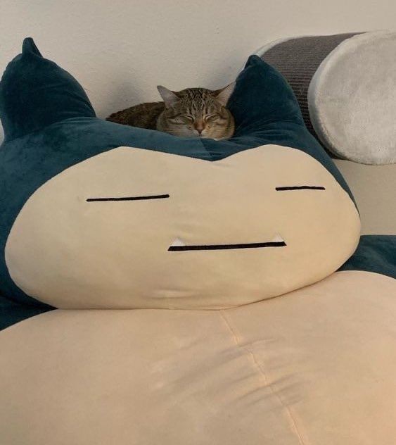 Pokemonpshot's tweet photo. https://t.co/5AEFx7Asx1