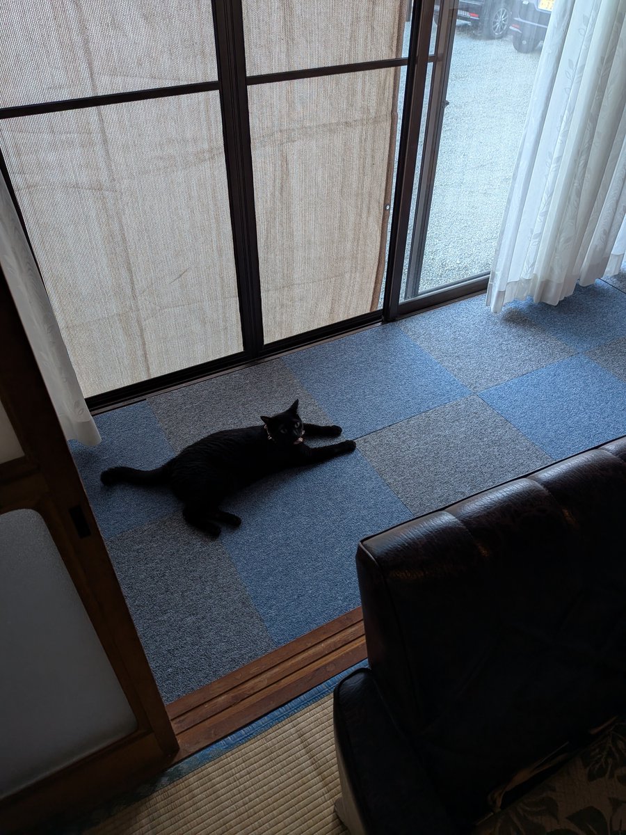 yu_chan0924's tweet photo. 今年も暑さに蕩けてる笑 https://t.co/3oIe6NZO6X