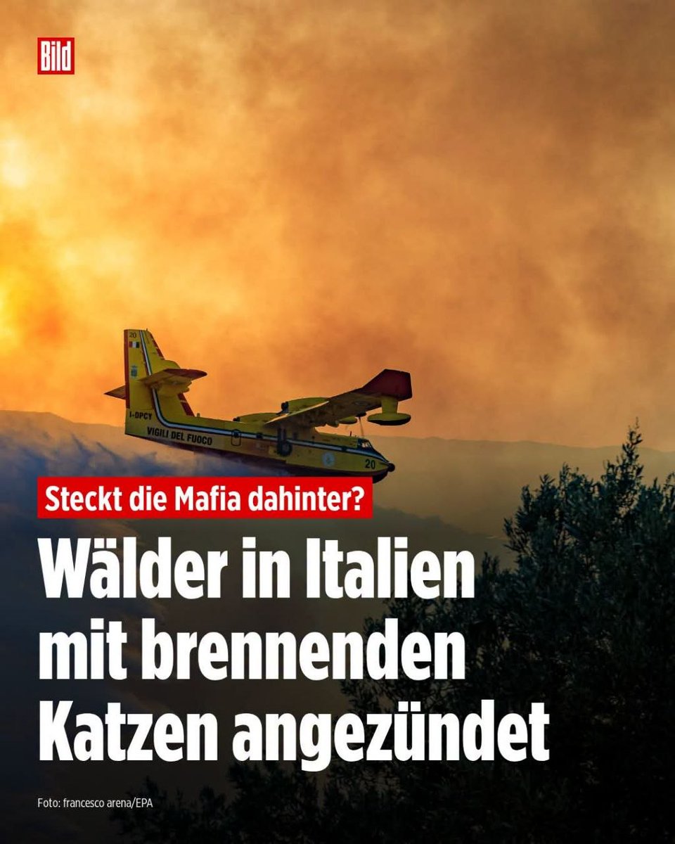 Maik Pittel tweet media