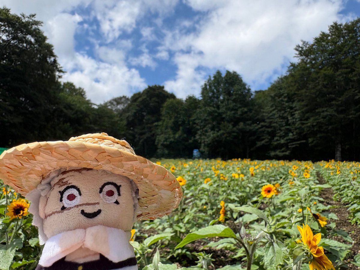 shiro9ma_pp's tweet photo. https://t.co/ATnBn0AHf7
