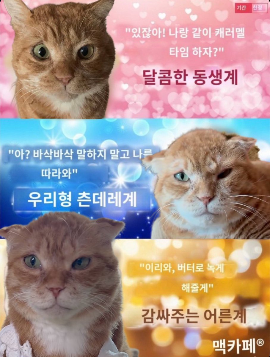 구독냥(김냄비다이어트10차) tweet media