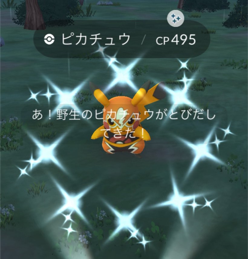ここ丸 tweet media
