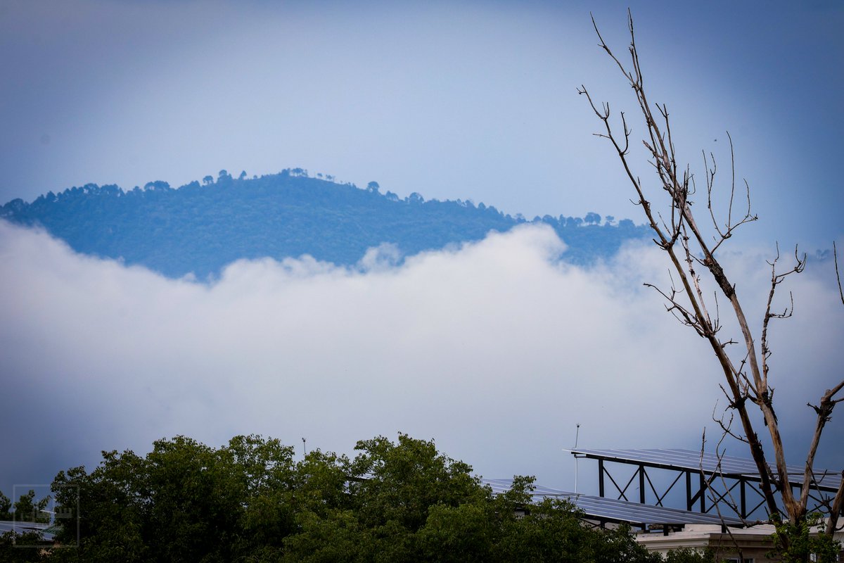 SalmanNaseer's tweet photo. Margalla Hills covered in clouds today 😶‍🌫️ https://t.co/de5tIwzCpG