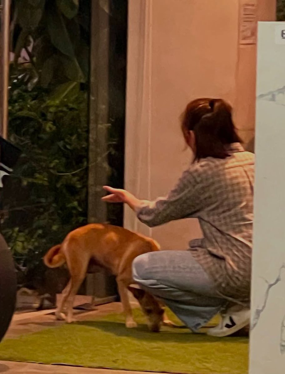 forevahhhSG's tweet photo. Always choose kindness talaga for Sarah. Sobrang blessed ng Popsters na mabait, humble at unproblematic ng Idol namin. 

May breed or aspin man yan, she has a genuine heart to animals. 

HAPPY BIRTHDAY SARAH G
#SarahGDay #SarahGeronimo 

📷 marsetalk https://t.co/ByLVmickKj
