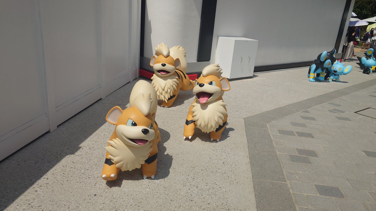 rin_yasui's tweet photo. 楽しかったー！
同じポケモンでも大きさが違ったり、目の色が違うイーブイ無事に見つけられた。次は涼しい時に来ます https://t.co/Nwxud3HQk7