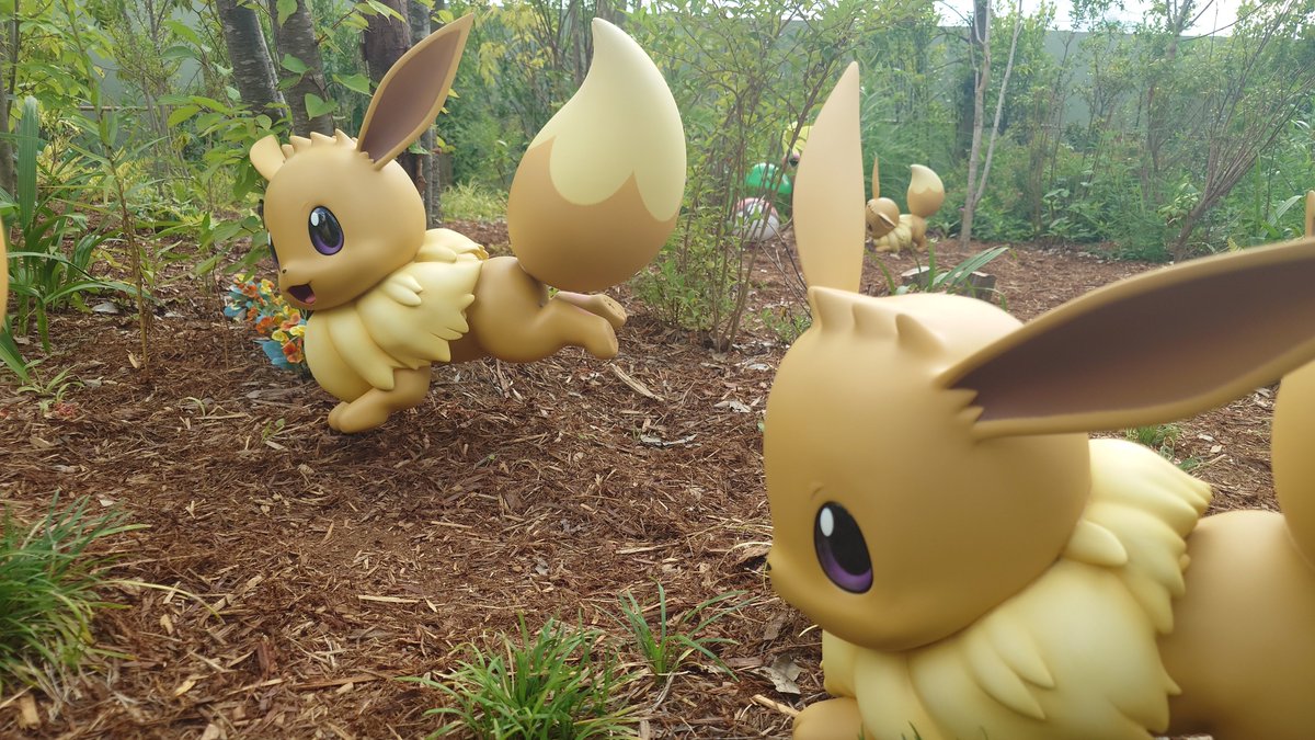 rin_yasui's tweet photo. 楽しかったー！
同じポケモンでも大きさが違ったり、目の色が違うイーブイ無事に見つけられた。次は涼しい時に来ます https://t.co/Nwxud3HQk7