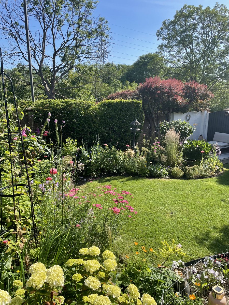 Andy6hutch's tweet photo. Delighted to have bagged second prize 🥈 this year for the #HutchGarden…. Congratulations to the First & Third prize winners & to everyone else that entered their lovely Gardens…. Happy Gardening all!!!… 🌿🌸🧑🌾🪴😊 #FoodForTheSoul #Gardening https://t.co/7ifnKww2Fr