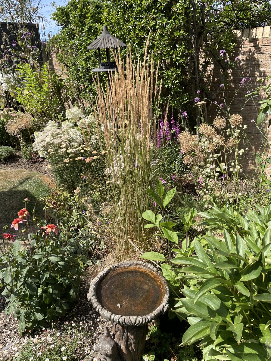 Andy6hutch's tweet photo. Delighted to have bagged second prize 🥈 this year for the #HutchGarden…. Congratulations to the First & Third prize winners & to everyone else that entered their lovely Gardens…. Happy Gardening all!!!… 🌿🌸🧑🌾🪴😊 #FoodForTheSoul #Gardening https://t.co/7ifnKww2Fr
