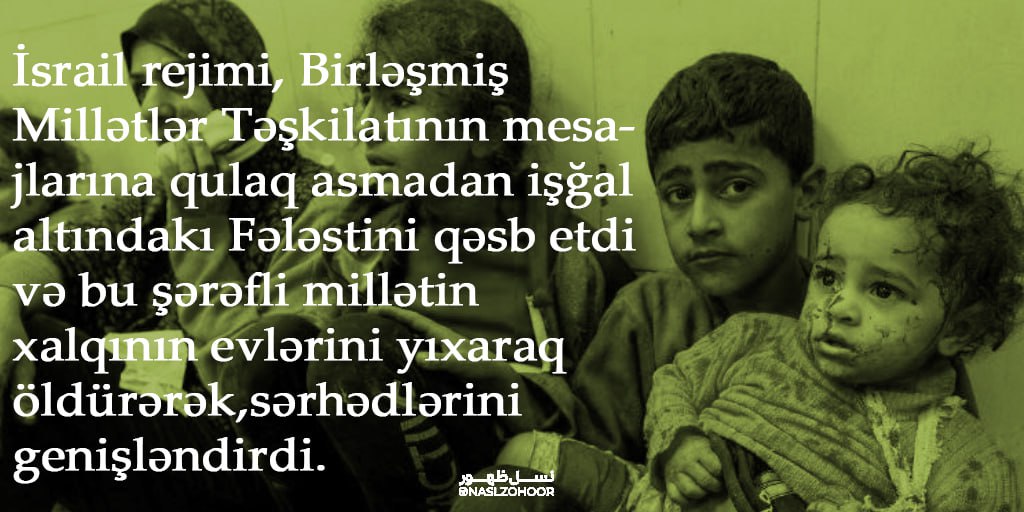 یاسمن نوریان tweet media