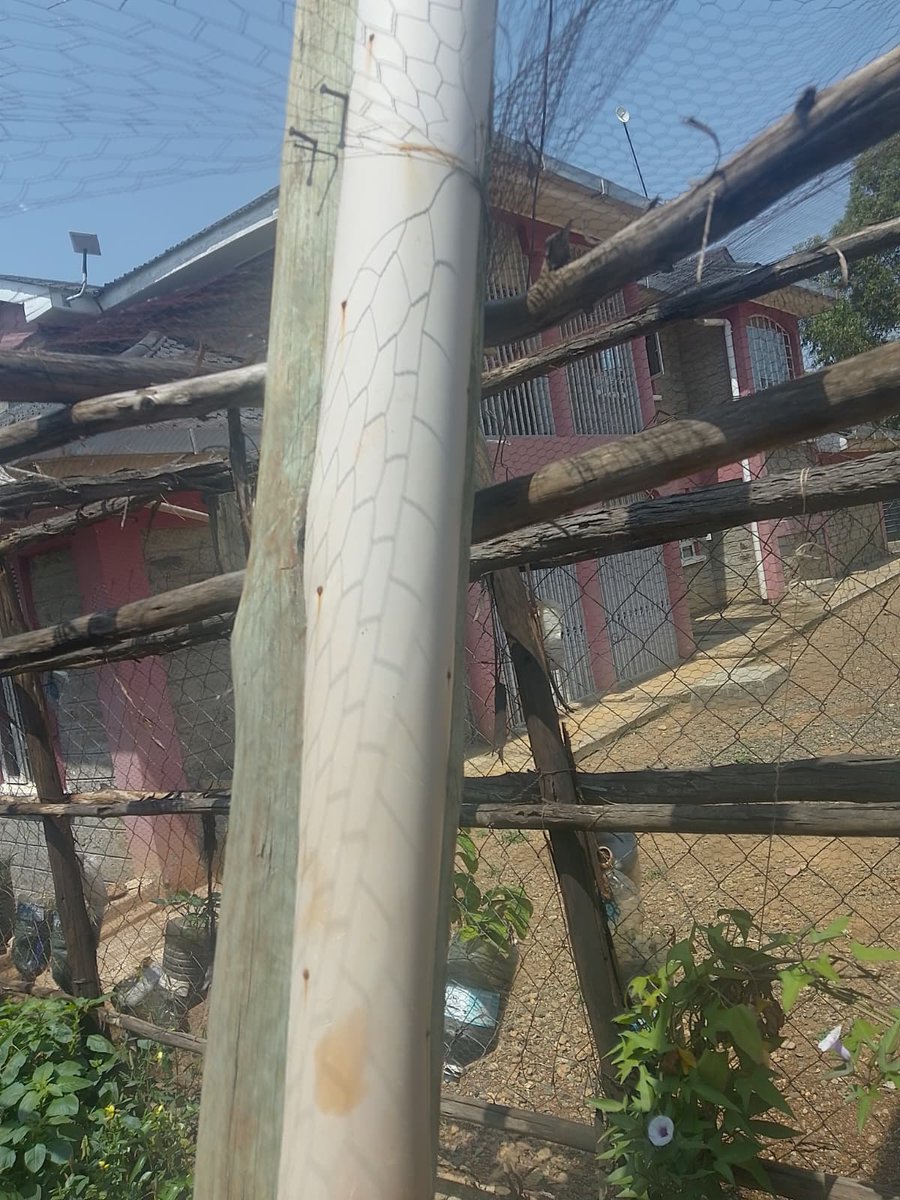 nnyarach's tweet photo. @KenyaPower_Care Hey, I have been reporting a leaning pole for almost a week. Case #15546543. Please replace the pole. The bottom is worn out. https://t.co/UoFSCvVnOM