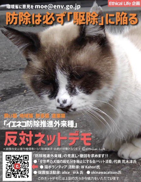 kurukom's tweet photo. にゃんにゃん
#イエネコ防除推進外来種計画に反対 https://t.co/2m1JLYMQrE